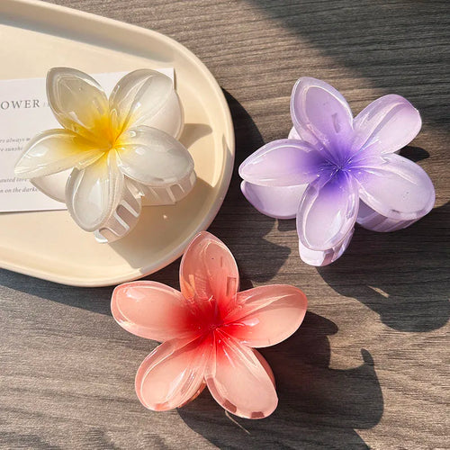 3pcs Boho Gradient Large Flower Acrylic Hair Clip For Women Sweet Hair