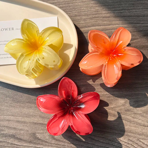 3pcs Boho Gradient Large Flower Acrylic Hair Clip For Women Sweet Hair