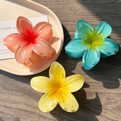 3pcs Boho Gradient Large Flower Acrylic Hair Clip For Women Sweet Hair