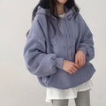Woman 2025 Autumn and Winter Street Loose Embroidery Casual Hoodies New Plush Hooded Sweatshirt Women Sweatshirts