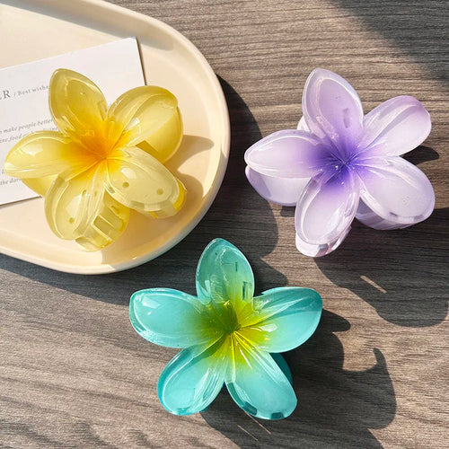 3pcs Boho Gradient Large Flower Acrylic Hair Clip For Women Sweet Hair