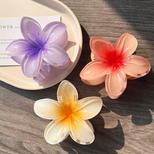 3pcs Boho Gradient Large Flower Acrylic Hair Clip For Women Sweet Hair