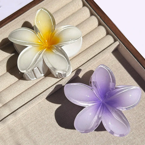 2PCS Fashion Women Flower Hair Clip Set Vacation Bohemia Egg Flower