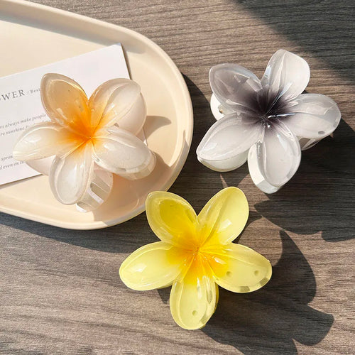 3pcs Boho Gradient Large Flower Acrylic Hair Clip For Women Sweet Hair