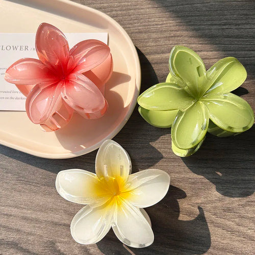 3pcs Boho Gradient Large Flower Acrylic Hair Clip For Women Sweet Hair