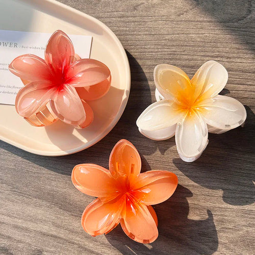 3pcs Boho Gradient Large Flower Acrylic Hair Clip For Women Sweet Hair