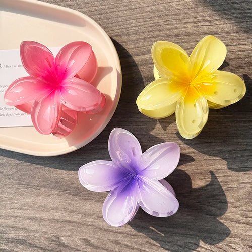 3pcs Boho Gradient Large Flower Acrylic Hair Clip For Women Sweet Hair